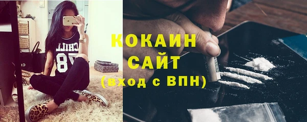 шишки Абдулино