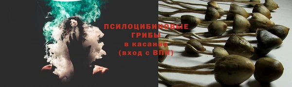 шишки Абдулино