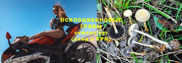 дурь Абинск