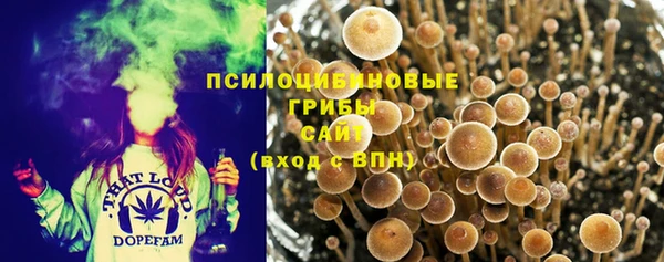 шишки Абдулино
