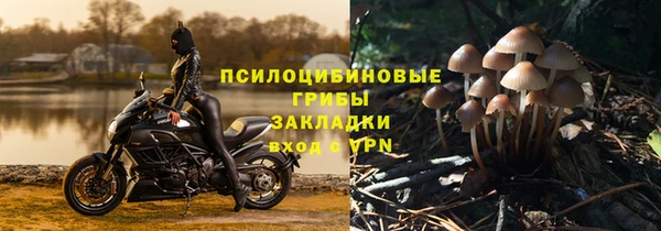 шишки Абдулино