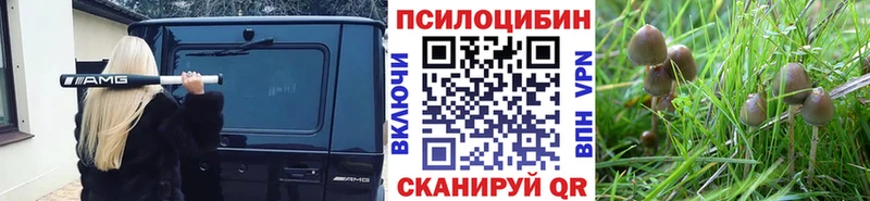 Галлюциногенные грибы ЛСД  закладки  OMG ссылки  Ялуторовск 